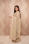 Noor (Green Crushed Tissue Embroidery Saree)