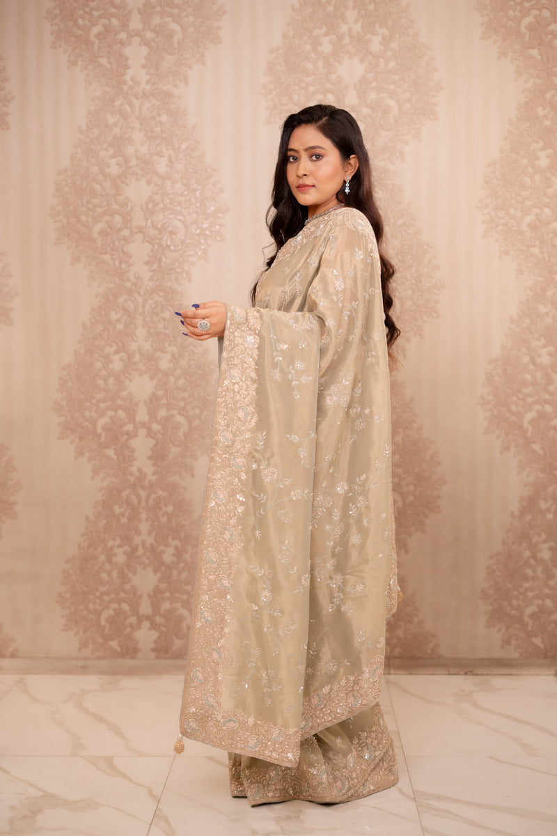 Noor (Green Crushed Tissue Embroidery Saree)